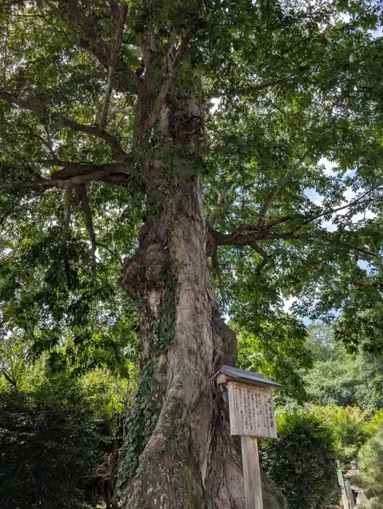 中山神社(岡山県)