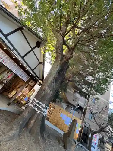 上目黒氷川神社(東京都)
