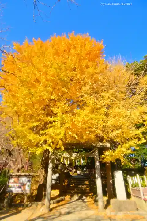 葛原岡神社(神奈川県)