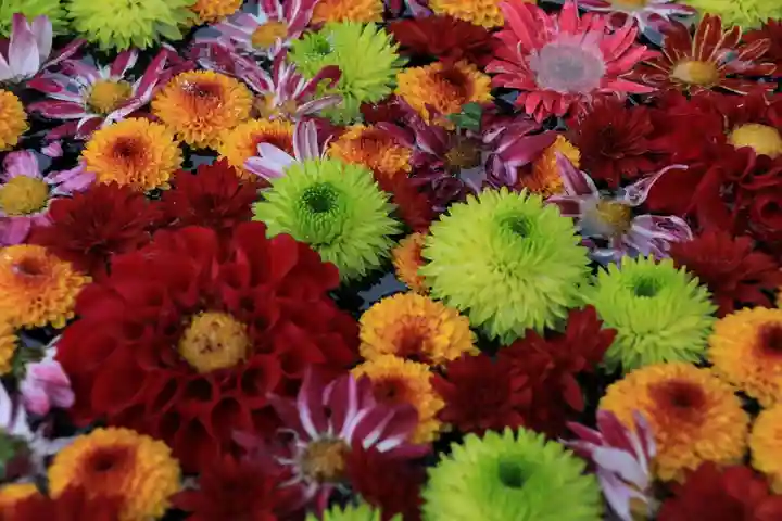 大鏑神社の手水舎