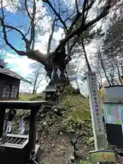 熊野皇大神社の自然