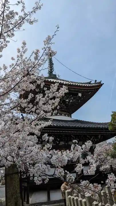 本法寺(京都府)