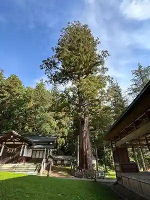 麻績神明宮(長野県)