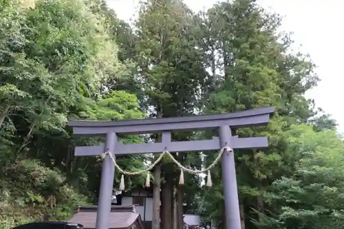 戸隠神社中社の鳥居