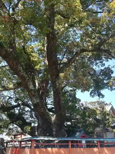 龍田神社の自然