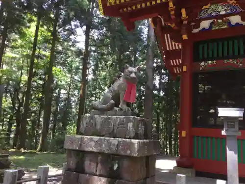 三峯神社の狛犬