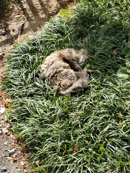 唐澤山神社(栃木県)