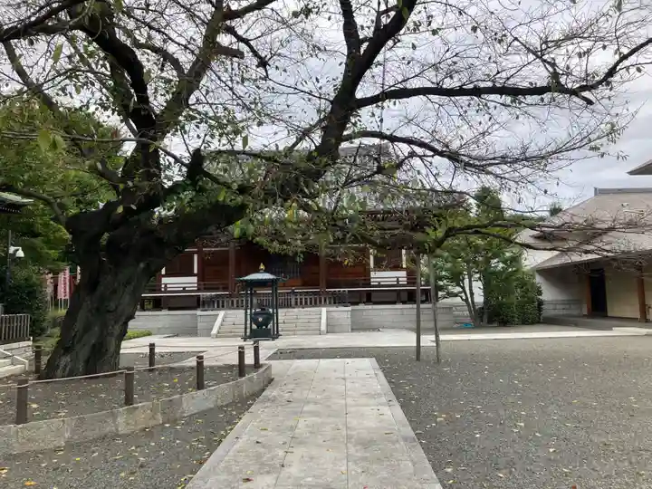 智清寺(東京都)