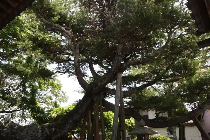 稱名寺(滋賀県)