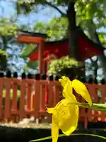 許麻神社(大阪府)