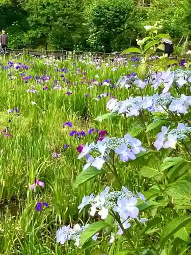 本土寺(千葉県)