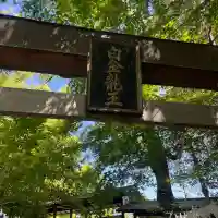 白金龍王社の{uncategorized: "未分類", other: "その他", undefined: "問題あり", building: "その他建物", grave: "お墓", sacred_gate: "鳥居", guardian: "狛犬", statue: "像", buddha: "仏像", history: "歴史", nature: "自然", garden: "庭園", animal: "動物", pagoda: "塔", temizu: "手水舎", mountain_gate: "山門・神門", sanctuary: "本殿・本堂", subordinate: "末社・摂社", art: "芸術", scenery: "景色", jizo: "地蔵", ema: "絵馬", goshuin: "御朱印", omikuji: "おみくじ", items: "授与品その他", amulet: "お守り", goshuincho: "御朱印帳", eats: "食事", festival: "お祭り", votive_dance: "神楽", shichigosan: "七五三参", wedding: "結婚式", experience: "体験その他", initially: "初詣", around: "周辺", anti_infection: "感染症対策"}