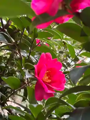 橿森神社の{uncategorized: "未分類", other: "その他", undefined: "問題あり", building: "その他建物", grave: "お墓", sacred_gate: "鳥居", guardian: "狛犬", statue: "像", buddha: "仏像", history: "歴史", nature: "自然", garden: "庭園", animal: "動物", pagoda: "塔", temizu: "手水舎", mountain_gate: "山門・神門", sanctuary: "本殿・本堂", subordinate: "末社・摂社", art: "芸術", scenery: "景色", jizo: "地蔵", ema: "絵馬", goshuin: "御朱印", omikuji: "おみくじ", items: "授与品その他", amulet: "お守り", goshuincho: "御朱印帳", eats: "食事", festival: "お祭り", votive_dance: "神楽", shichigosan: "七五三参", wedding: "結婚式", experience: "体験その他", initially: "初詣", around: "周辺", anti_infection: "感染症対策"}