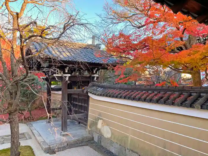 妙顯寺(妙顕寺)(京都府)