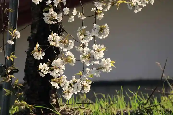 諏訪神社(福島県)