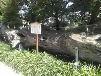 瀬戸神社(神奈川県)