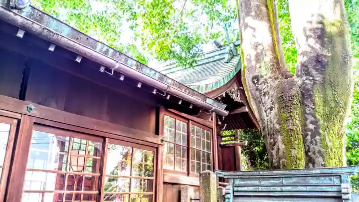 金刀比羅社の本殿・本堂