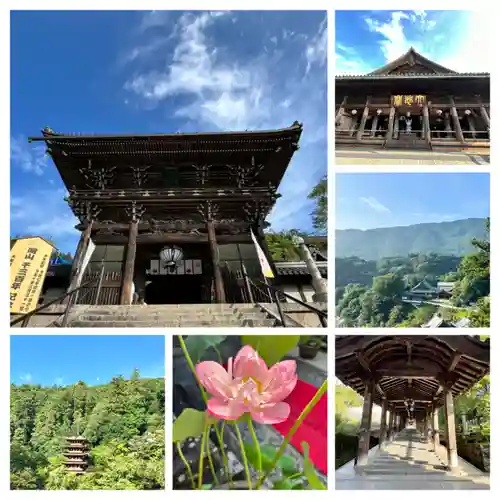 長谷寺(奈良県)
