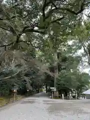 石上神宮(奈良県)