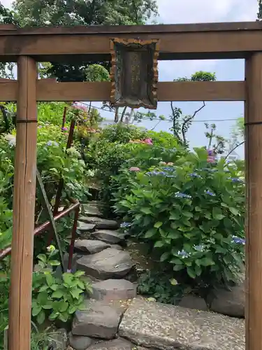 白山神社の鳥居
