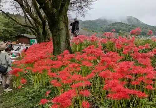 圓照寺(埼玉県)