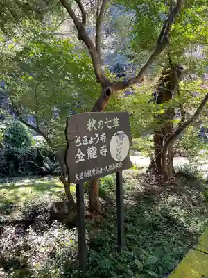 金龍寺(群馬県)