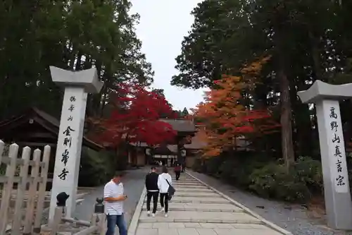高野山金剛峯寺(和歌山県)