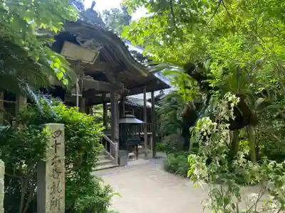 浄瑠璃寺(愛媛県)