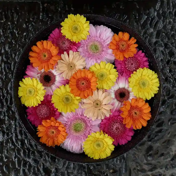 帯廣神社の手水舎