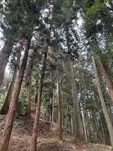 大宮温泉神社(栃木県)(2023年02月20日(月) 07時53分47秒投稿)