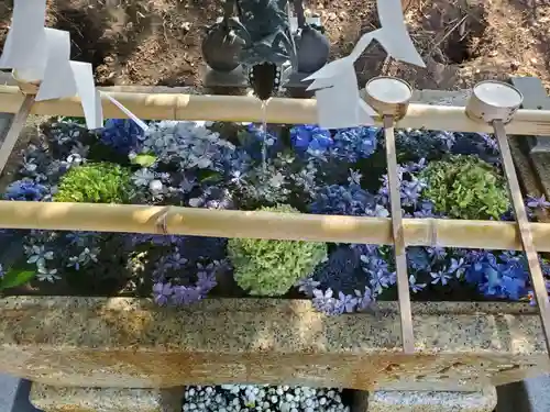 星宮神社(栃木県)