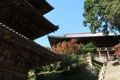 一乗寺のその他建物