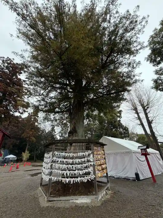 鷲宮神社の{uncategorized: "未分類", other: "その他", undefined: "問題あり", building: "その他建物", grave: "お墓", sacred_gate: "鳥居", guardian: "狛犬", statue: "像", buddha: "仏像", history: "歴史", nature: "自然", garden: "庭園", animal: "動物", pagoda: "塔", temizu: "手水舎", mountain_gate: "山門・神門", sanctuary: "本殿・本堂", subordinate: "末社・摂社", art: "芸術", scenery: "景色", jizo: "地蔵", ema: "絵馬", goshuin: "御朱印", omikuji: "おみくじ", items: "授与品その他", amulet: "お守り", goshuincho: "御朱印帳", eats: "食事", festival: "お祭り", votive_dance: "神楽", shichigosan: "七五三参", wedding: "結婚式", experience: "体験その他", initially: "初詣", around: "周辺", anti_infection: "感染症対策"}