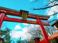 彌彦神社 (伊夜日子神社)の鳥居