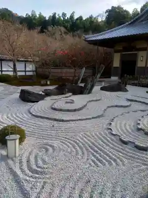 圓光寺(京都府)