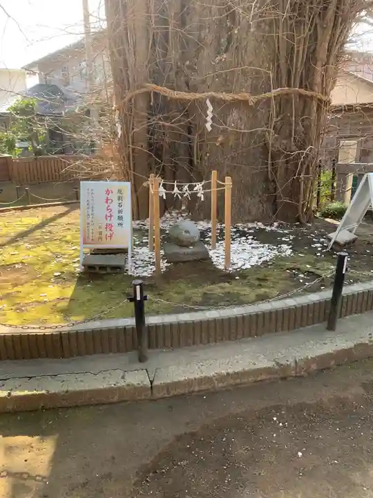 鶴嶺八幡宮の自然