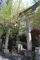 雉子神社の鳥居