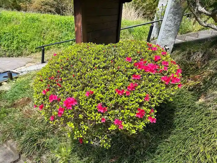 国宝 大法寺の自然