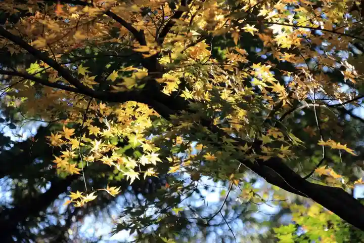 菅船神社の自然