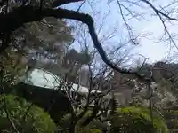 浄光明寺の自然