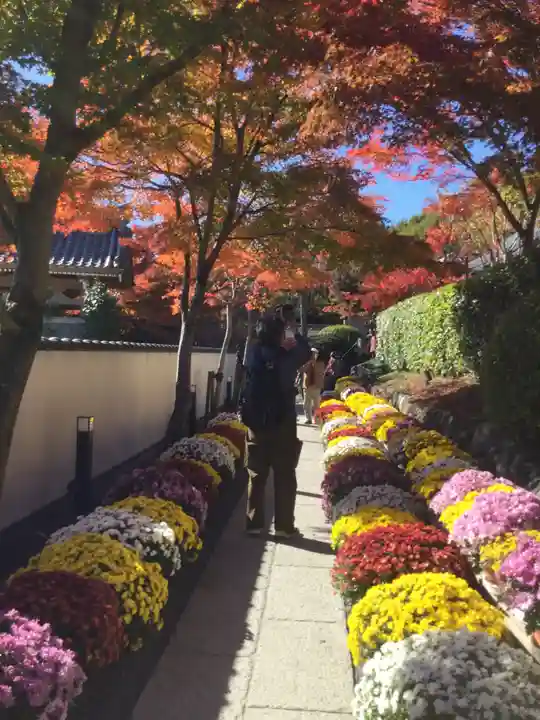 宝徳寺(群馬県)