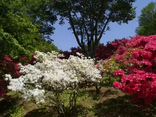 正福寺の自然