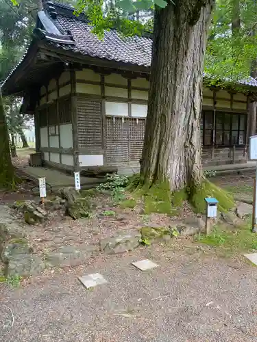 若狭姫神社（若狭彦神社下社）(福井県)