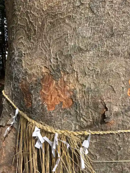 八幡神社の{uncategorized: "未分類", other: "その他", undefined: "問題あり", building: "その他建物", grave: "お墓", sacred_gate: "鳥居", guardian: "狛犬", statue: "像", buddha: "仏像", history: "歴史", nature: "自然", garden: "庭園", animal: "動物", pagoda: "塔", temizu: "手水舎", mountain_gate: "山門・神門", sanctuary: "本殿・本堂", subordinate: "末社・摂社", art: "芸術", scenery: "景色", jizo: "地蔵", ema: "絵馬", goshuin: "御朱印", omikuji: "おみくじ", items: "授与品その他", amulet: "お守り", goshuincho: "御朱印帳", eats: "食事", festival: "お祭り", votive_dance: "神楽", shichigosan: "七五三参", wedding: "結婚式", experience: "体験その他", initially: "初詣", around: "周辺", anti_infection: "感染症対策"}