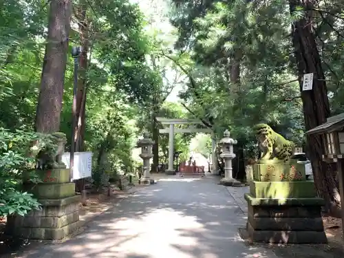 岩槻久伊豆神社の狛犬