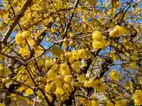 横浜 西方寺(神奈川県)