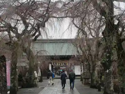 三嶋大社(静岡県)