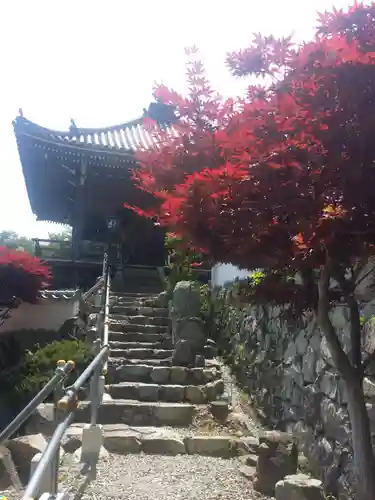 大避神社のその他建物