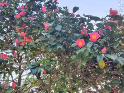 金ケ崎神社の{uncategorized: "未分類", other: "その他", undefined: "問題あり", building: "その他建物", grave: "お墓", sacred_gate: "鳥居", guardian: "狛犬", statue: "像", buddha: "仏像", history: "歴史", nature: "自然", garden: "庭園", animal: "動物", pagoda: "塔", temizu: "手水舎", mountain_gate: "山門・神門", sanctuary: "本殿・本堂", subordinate: "末社・摂社", art: "芸術", scenery: "景色", jizo: "地蔵", ema: "絵馬", goshuin: "御朱印", omikuji: "おみくじ", items: "授与品その他", amulet: "お守り", goshuincho: "御朱印帳", eats: "食事", festival: "お祭り", votive_dance: "神楽", shichigosan: "七五三参", wedding: "結婚式", experience: "体験その他", initially: "初詣", around: "周辺", anti_infection: "感染症対策"}