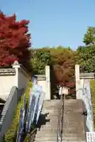 勝林寺(京都府)
